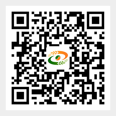 18654923689