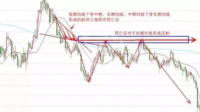 图片10